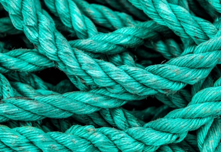 Trumps neue Fischereiregel bedroht Ozean: Schutzgebiete im Pazifik in Gefahr